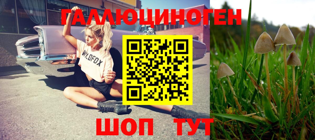 Псилоцибиновые грибы Psilocybine cubensis  Вход с VPN  Нягань 